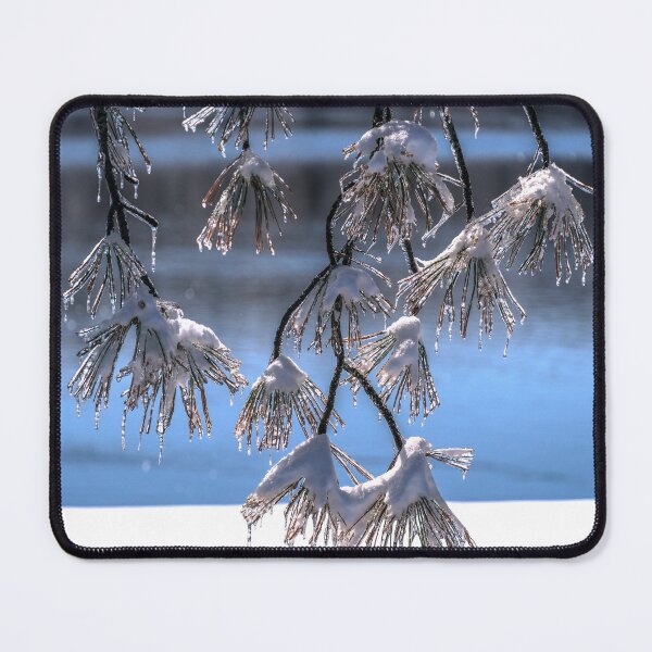 Item preview, Iced Pine designed and sold by barkeypf.