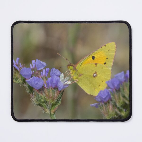 Item preview, Clouded Yellow designed and sold by LaurenTucker.