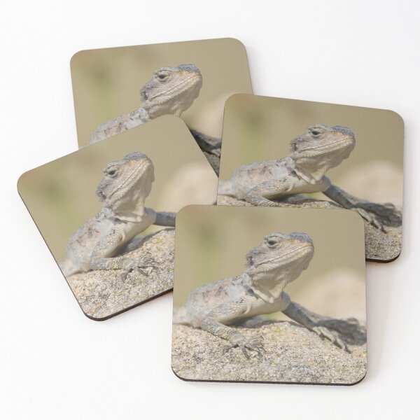 Item preview, Cyprus Rock Agama designed and sold by LaurenTucker.