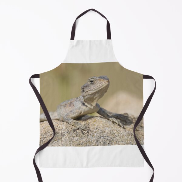Item preview, Cyprus Rock Agama designed and sold by LaurenTucker.