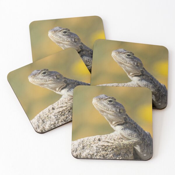 Item preview, Cyprus Rock Agama designed and sold by LaurenTucker.