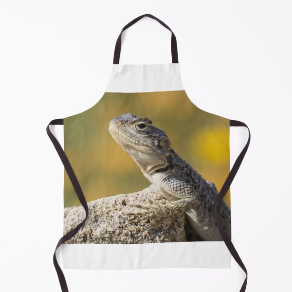 Item preview, Cyprus Rock Agama designed and sold by LaurenTucker.