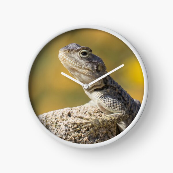 Item preview, Cyprus Rock Agama designed and sold by LaurenTucker.