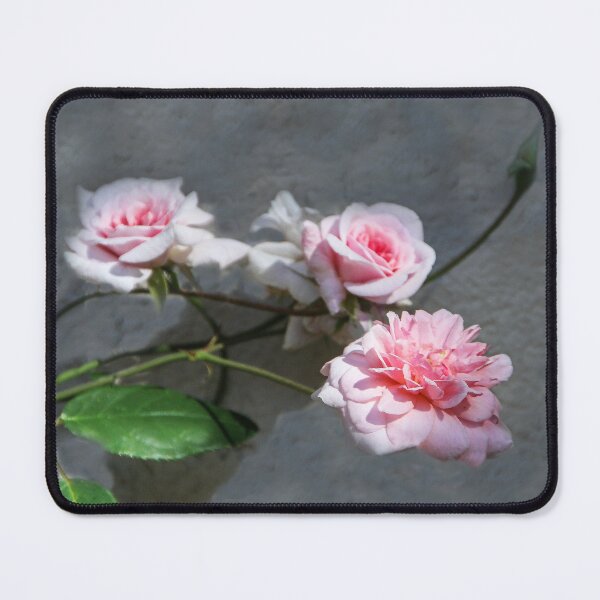 Item preview, Floribunda Roses designed and sold by heatherfriedman.