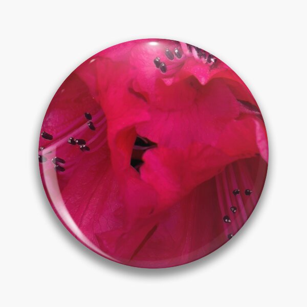 Item preview, Invitation Given designed and sold by Steve Walser.