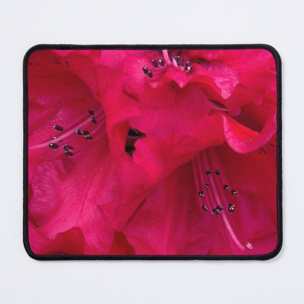 Item preview, Invitation Given designed and sold by Steve Walser.