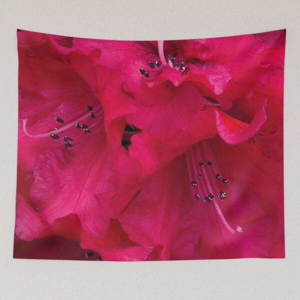 Item preview, Invitation Given designed and sold by Steve Walser.