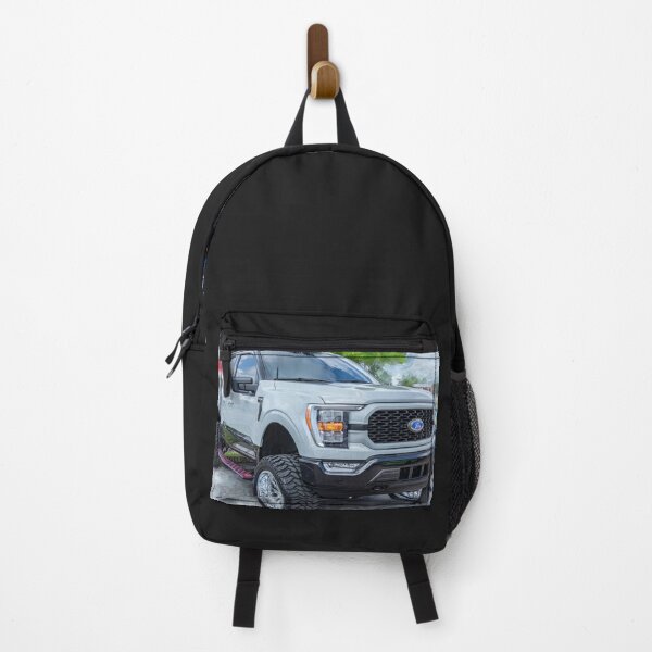 Item preview, 2023 Gray Ford F150 Heritage Edition X100 designed and sold by RichFrancoCars.