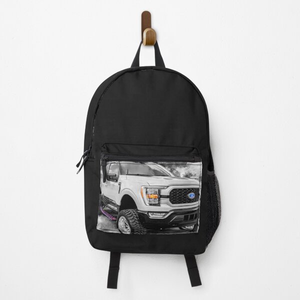 Item preview, 2023 Gray Ford F150 Heritage Edition X101 designed and sold by RichFrancoCars.