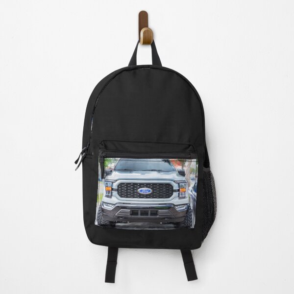 Item preview, 2023 Gray Ford F150 Heritage Edition X103 designed and sold by RichFrancoCars.