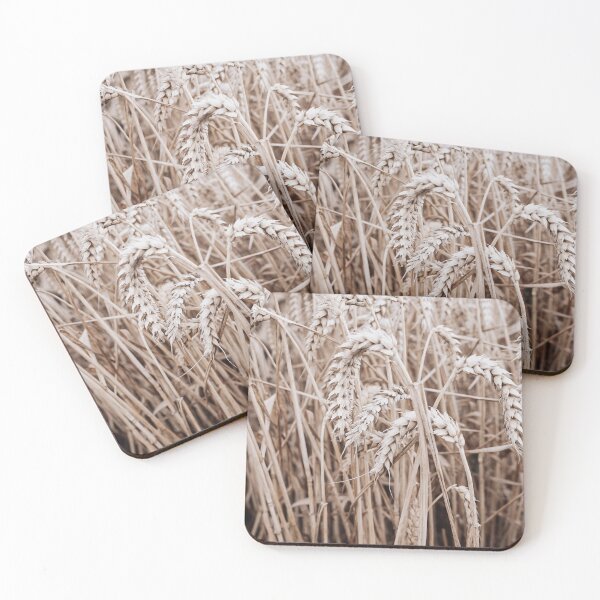 Item preview, Dried flowers aesthetic  designed and sold by Missmv.
