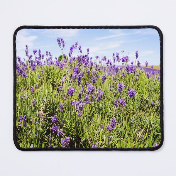 Item preview, Landscape lavender field designed and sold by Missmv.