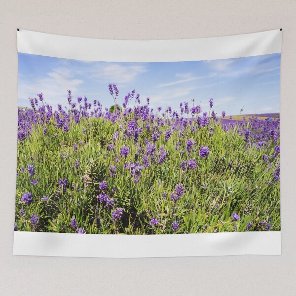 Item preview, Landscape lavender field designed and sold by Missmv.