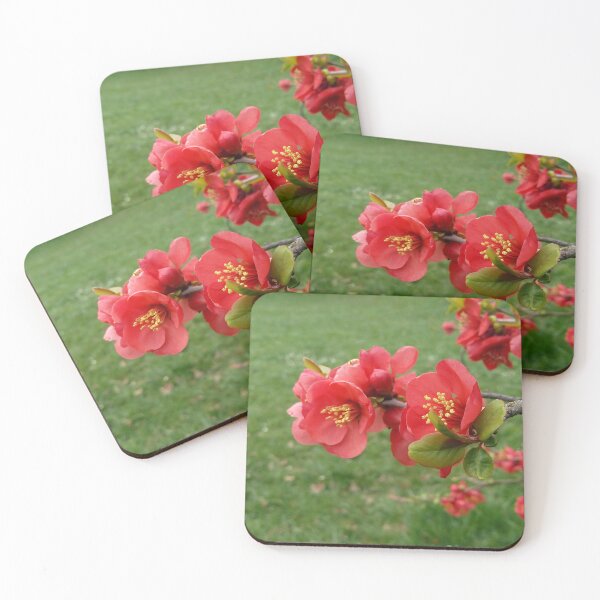 Item preview, Flowering Quince 1 original artwork designed and sold by paragonDesign28.