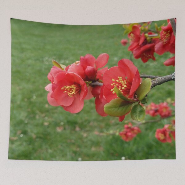 Item preview, Flowering Quince 1 original artwork designed and sold by paragonDesign28.