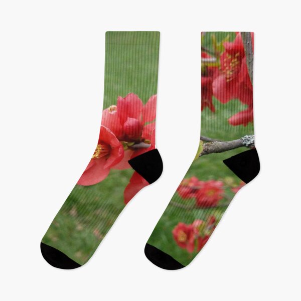 Item preview, Flowering Quince 1 original artwork designed and sold by paragonDesign28.