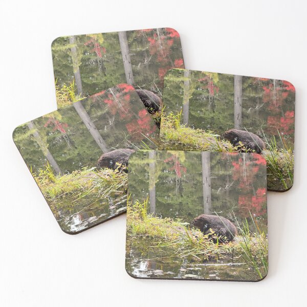 Item preview, Beaver surrounded by watercolour-like fall colors designed and sold by ClarissaFlora.