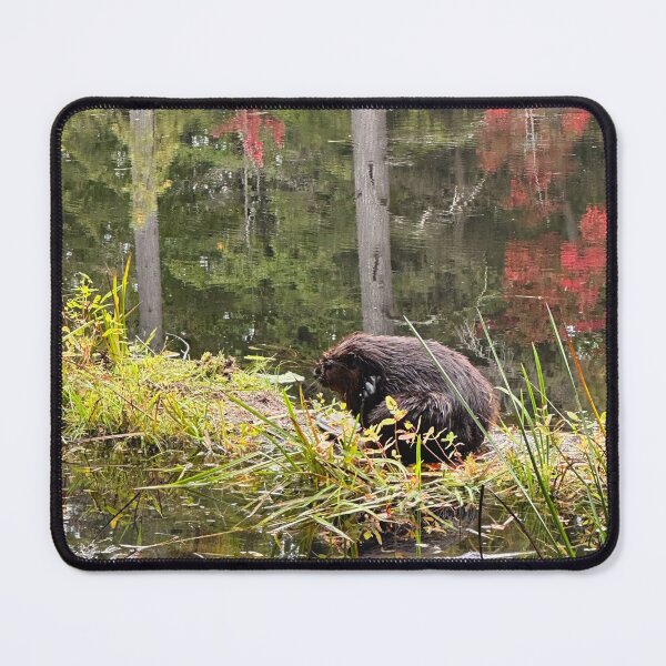 Item preview, Beaver surrounded by watercolour-like fall colors designed and sold by ClarissaFlora.