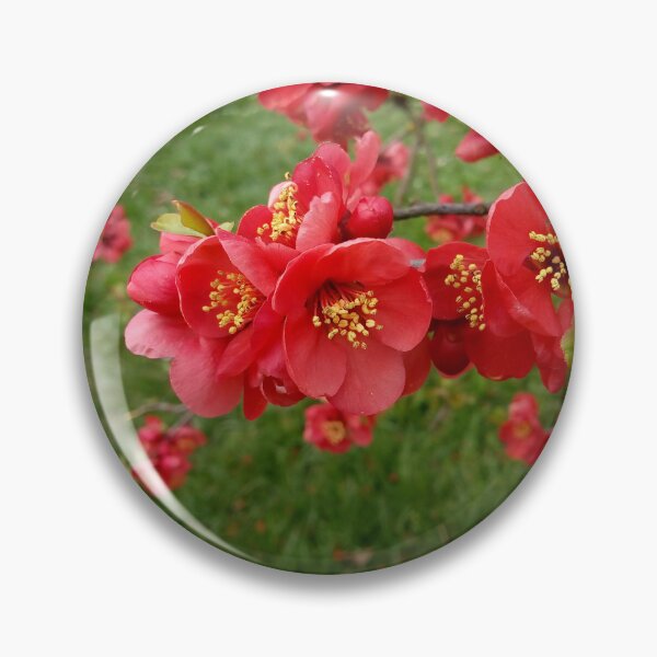 Item preview, Flowering Quince 2 original artwork designed and sold by paragonDesign28.