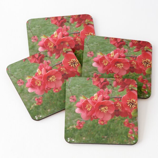 Item preview, Flowering Quince 2 original artwork designed and sold by paragonDesign28.