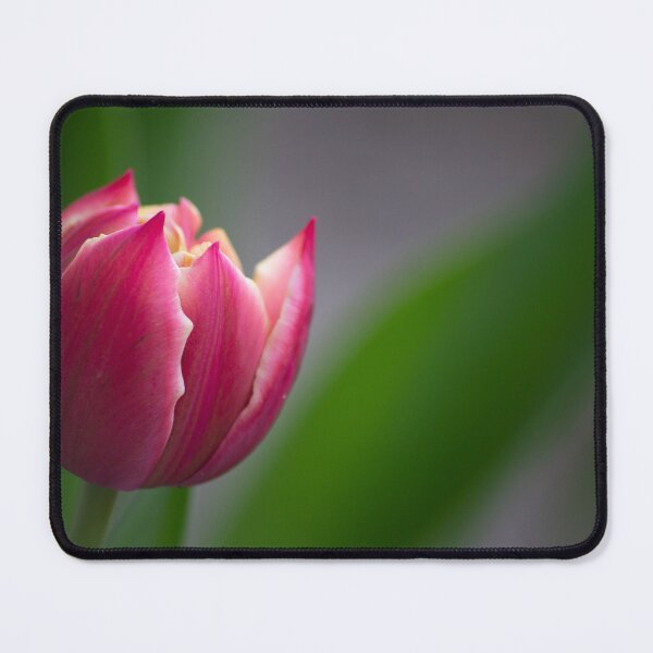 Item preview, New Beginnings. designed and sold by Jennifer Michalski.