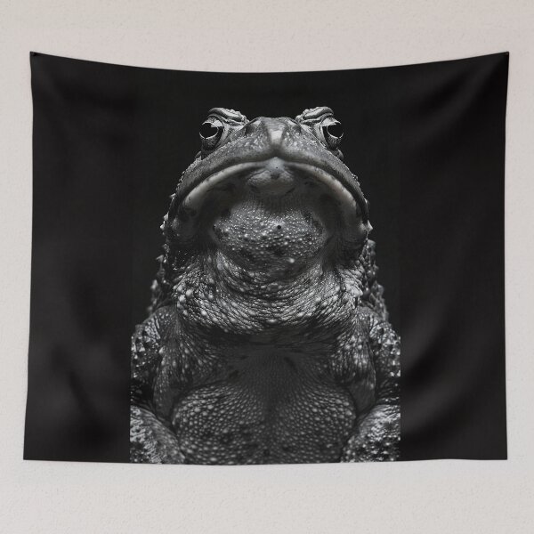 Item preview, Amphibian Invader: The Cane Toad  designed and sold by Brendon987.