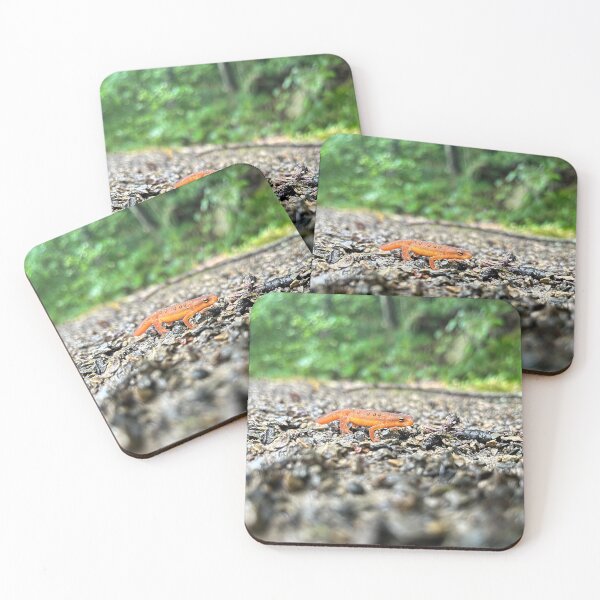 Item preview, Forest Floor Friends designed and sold by MINDDesignsInc.