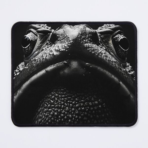 Item preview, Cane Toad Catastrophe designed and sold by Brendon987.
