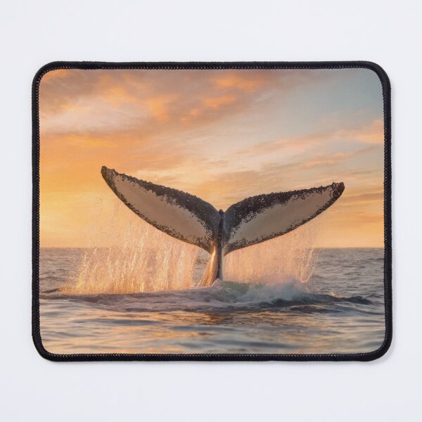 Item preview, Whale tail splashing designed and sold by psychoshadow.