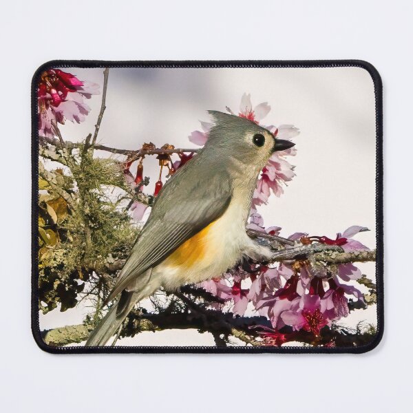 Item preview, Tufted Titmouse designed and sold by ishotit4u.