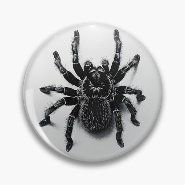 Item preview, Black and white Tarantula pencil drawing designed and sold by Pencil-Art.