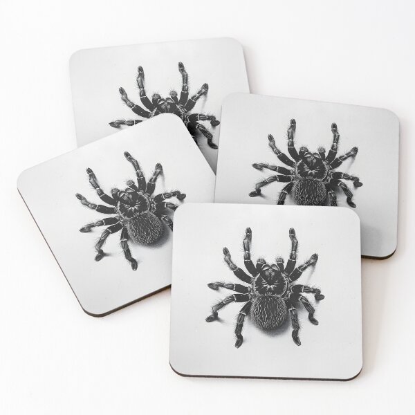Item preview, Black and white Tarantula pencil drawing designed and sold by Pencil-Art.