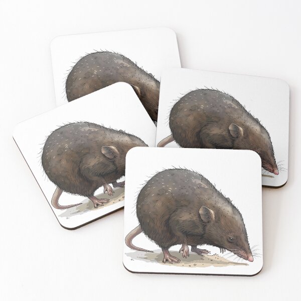Item preview, Intricate Drawing of a Brown Solitary Shrew designed and sold by NatureSyllabus.