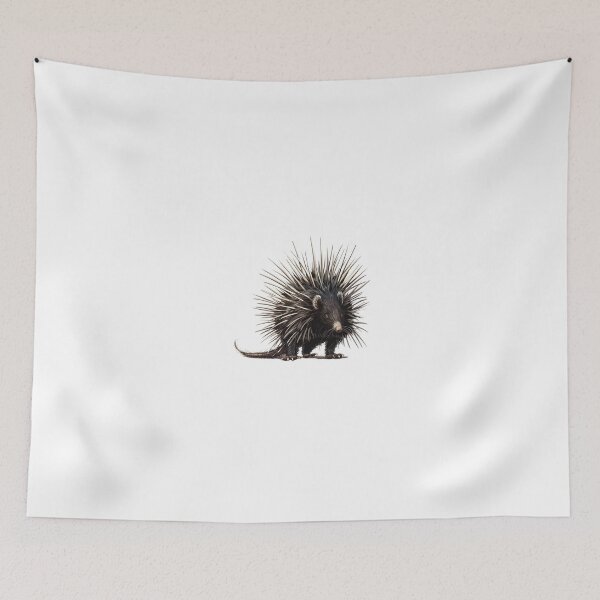 Item preview, Porcupine Portrait with Quills Displayed designed and sold by NatureSyllabus.