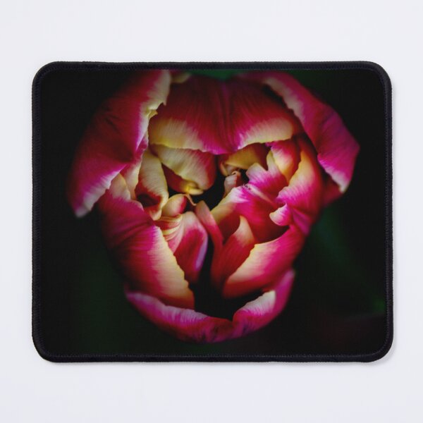 Item preview, Beauty in the darkness... designed and sold by Jennifer Michalski.