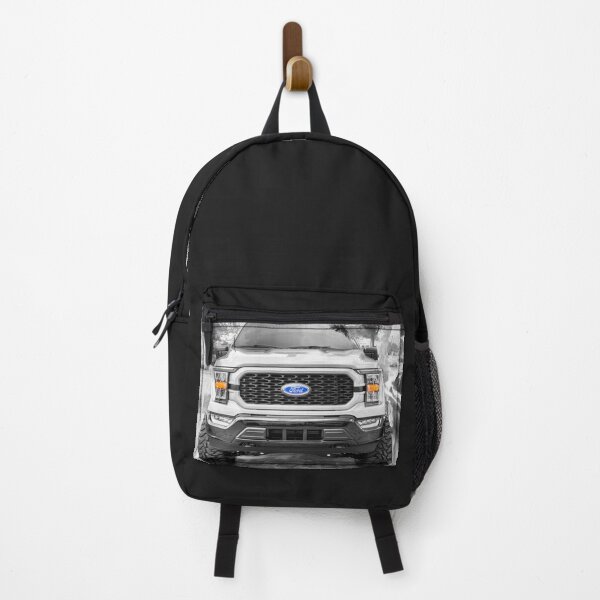 Item preview, 2023 Gray Ford F150 Heritage Edition X104 designed and sold by RichFrancoCars.