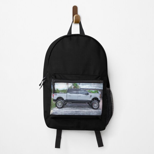 Item preview, 2023 Gray Ford F150 Heritage Edition X105 designed and sold by RichFrancoCars.