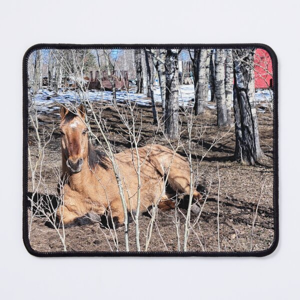 Item preview, Horse of a small village designed and sold by painttime.