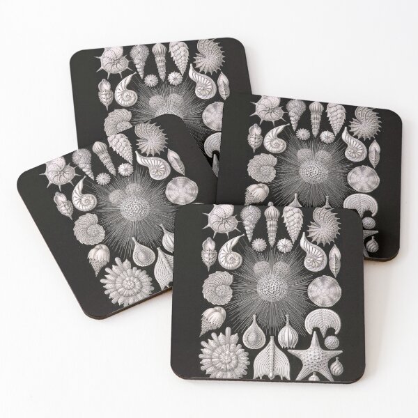 Item preview, Ernest Haeckel Thalamorpha Fine Art Marine Biology designed and sold by Bebichic.