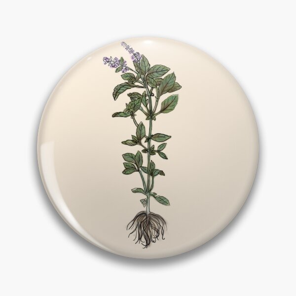 Item preview, Basil the Herb designed and sold by ShayAlly.