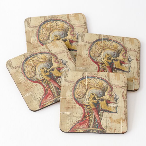 Item preview, Vintage Anatomy Art designed and sold by nomiraclehere.