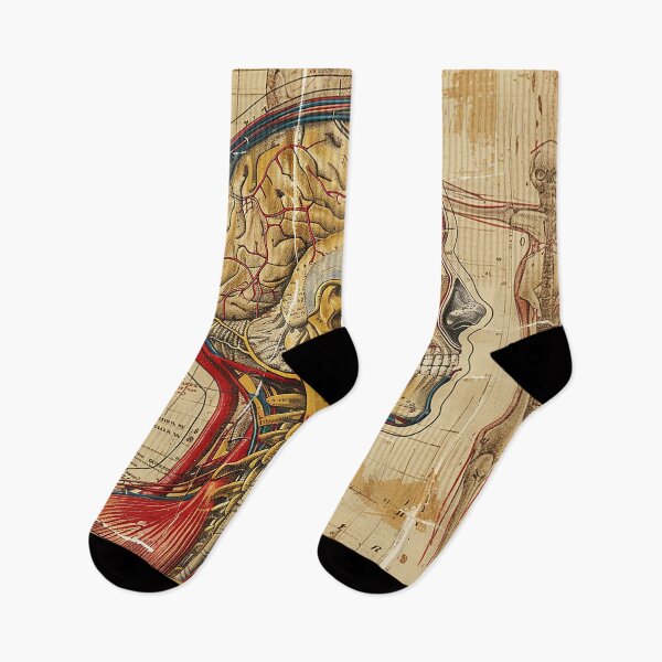 Item preview, Vintage Anatomy Art designed and sold by nomiraclehere.