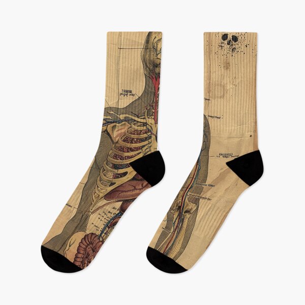 Item preview, Vintage Anatomy Art designed and sold by nomiraclehere.