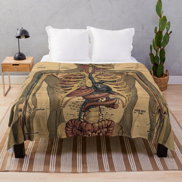 Item preview, Vintage Anatomy Art designed and sold by nomiraclehere.