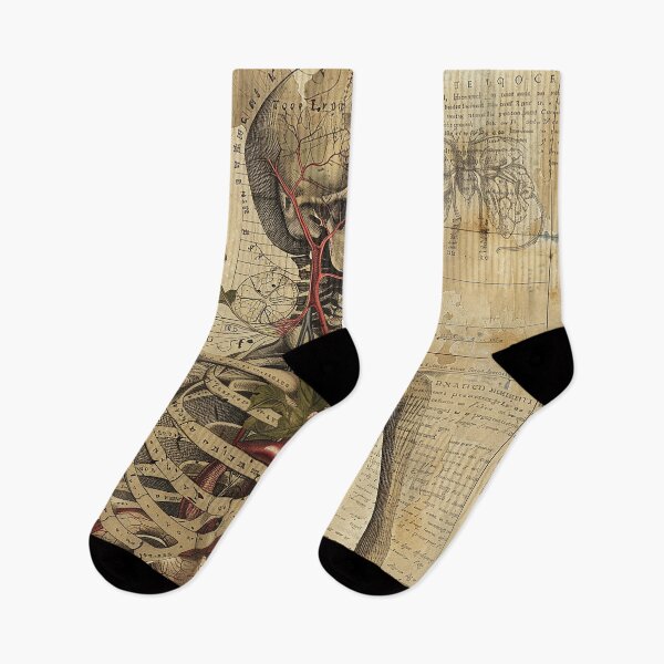 Item preview, Vintage Anatomy Art designed and sold by nomiraclehere.