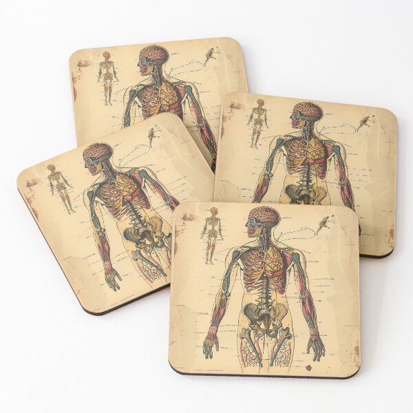 Item preview, Vintage Anatomy Art designed and sold by nomiraclehere.