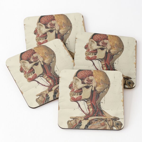 Item preview, Vintage Anatomy Art designed and sold by nomiraclehere.