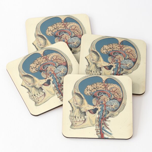 Item preview, Vintage Anatomy Art designed and sold by nomiraclehere.