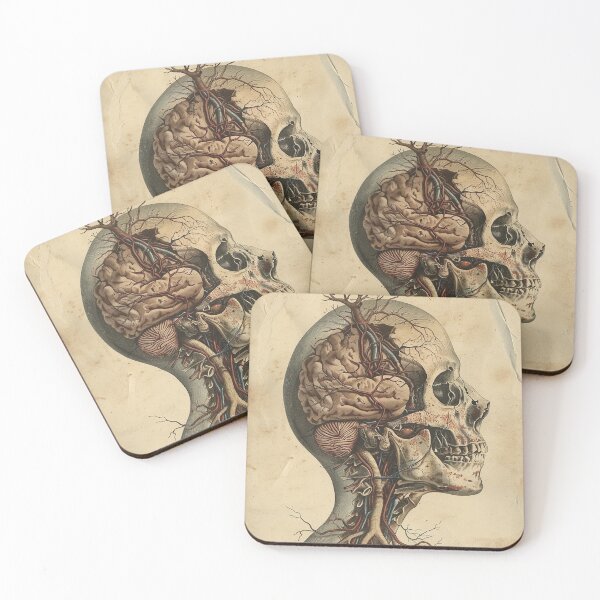 Item preview, Vintage Anatomy Art designed and sold by nomiraclehere.