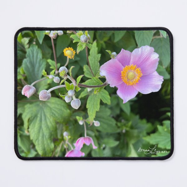 Item preview, Japanese Anemone designed and sold by Donna Turner.